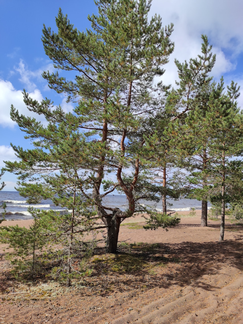 Фото в бортжурнале Nissan Patrol GR II (Y61)