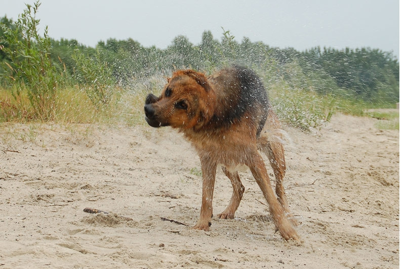 Фото в бортжурнале Toyota Land Cruiser Prado 90-series