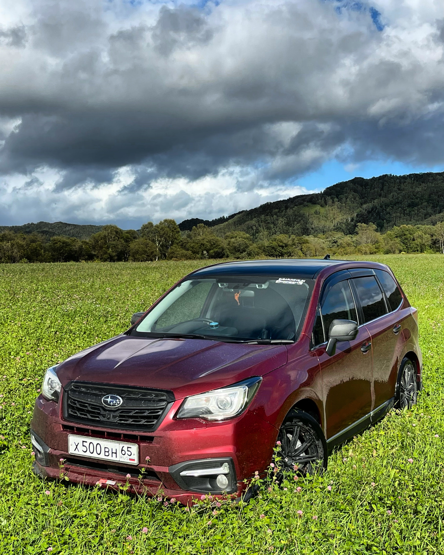 5 лет — Subaru Forester (SJ), 2 л, 2016 года | стайлинг | DRIVE2