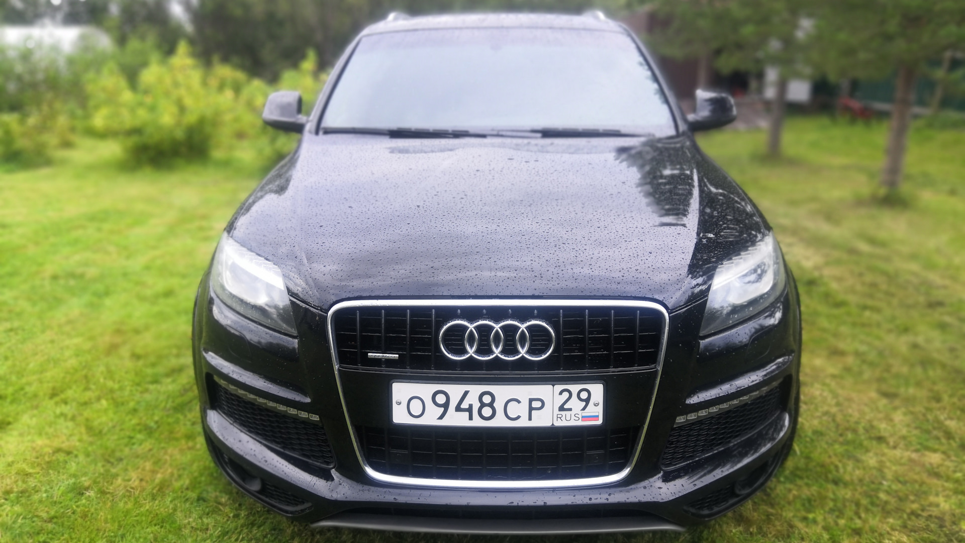 Audi Q7 (1G) 3.0 дизельный 2010 | Black S-line на DRIVE2