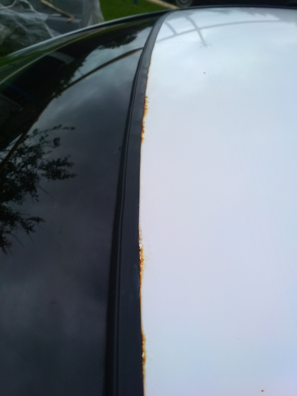 Ремонт ЛКП рамки лобового стекла — Nissan Teana (J32), 2,5 л, 2011 года ...