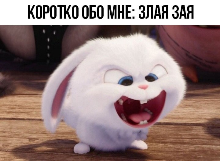 Зая злая прикольные картинки