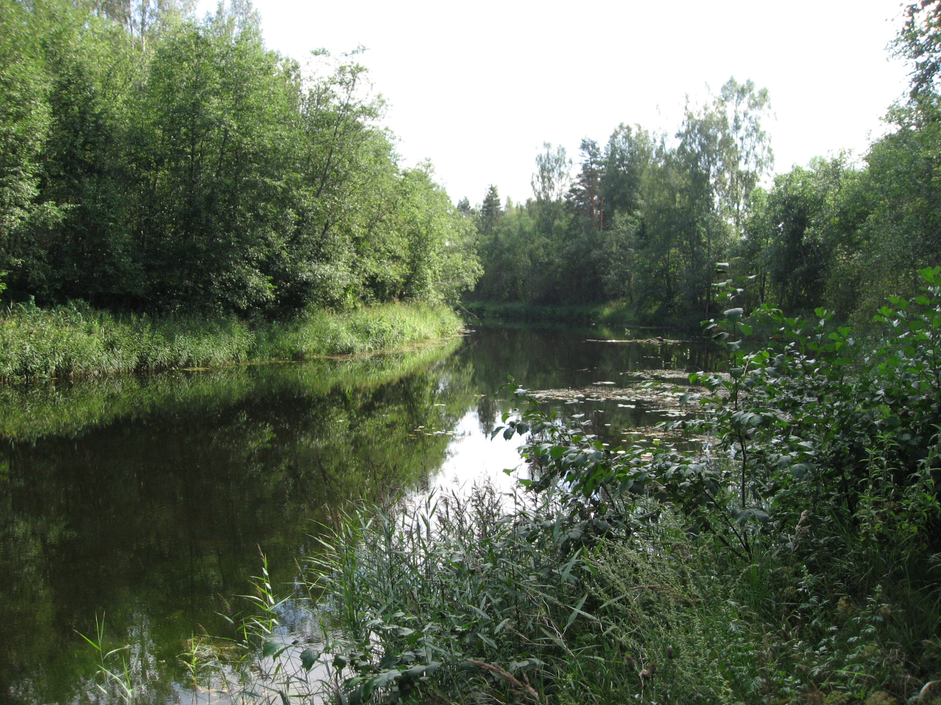 Река саба. Река саба. "саба"+"осьмино"+"мост". Река саба. Река луга девонские обнажения.