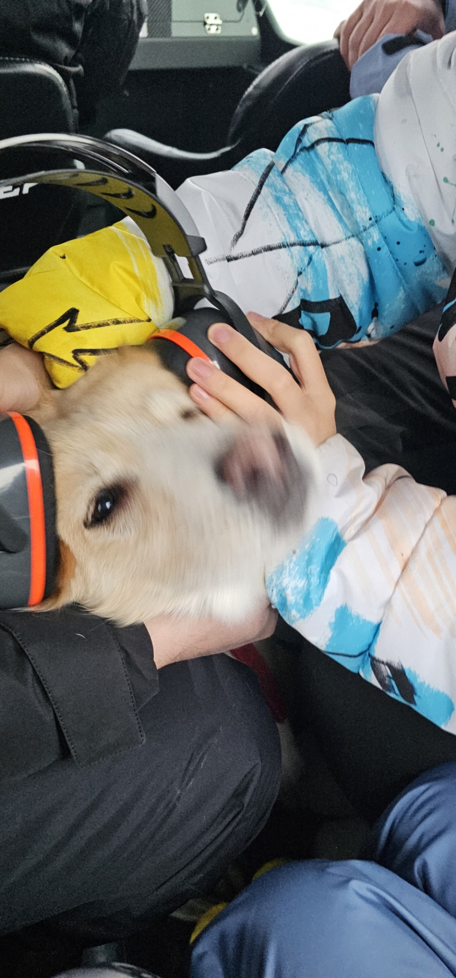 собака ебёт бабу 