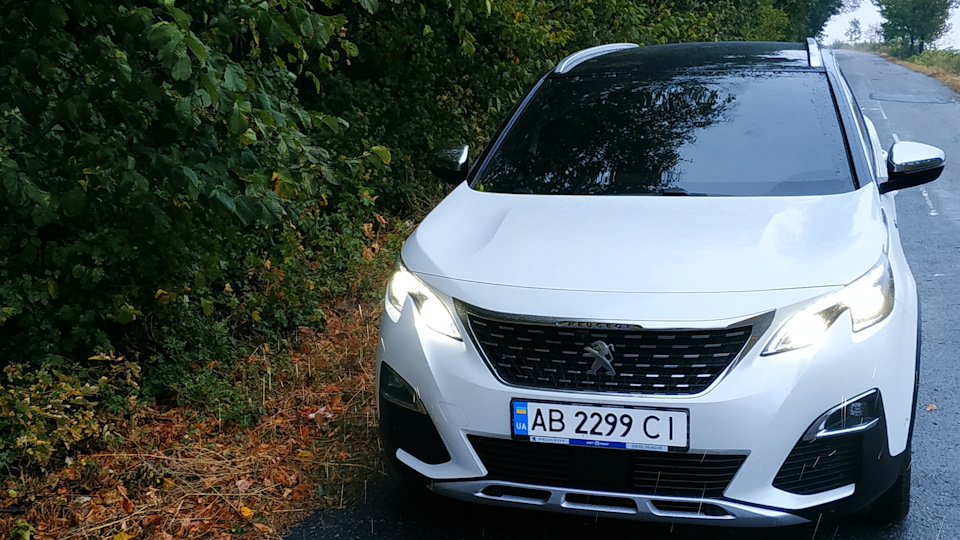 Adblu — Peugeot 5008 (2G), 2 л, 2019 года | наблюдение | DRIVE2