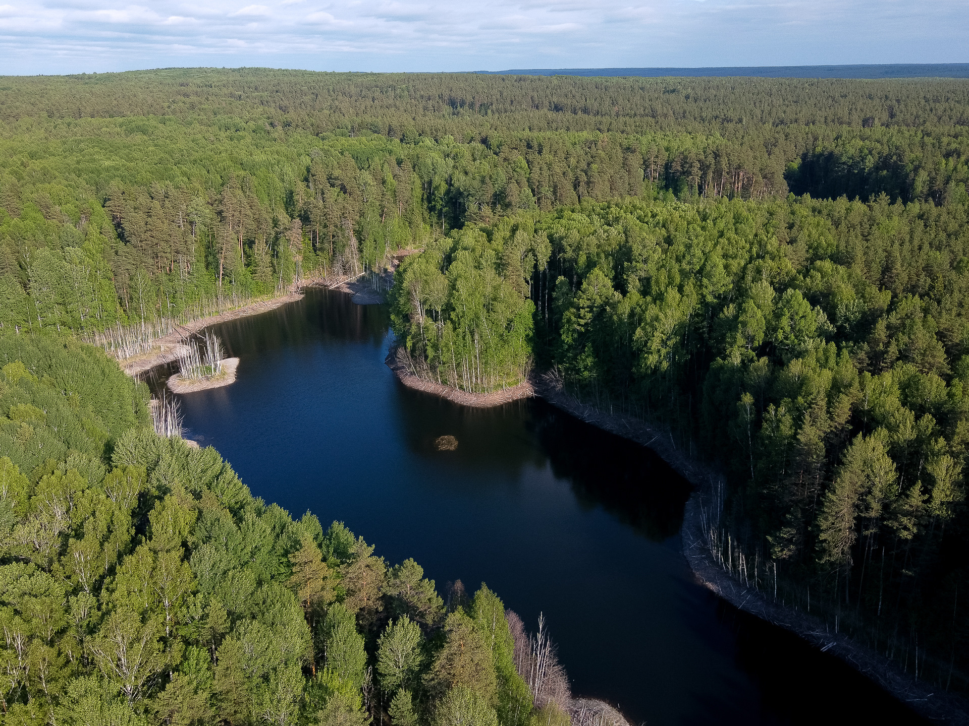 Озеро медведское курганская область