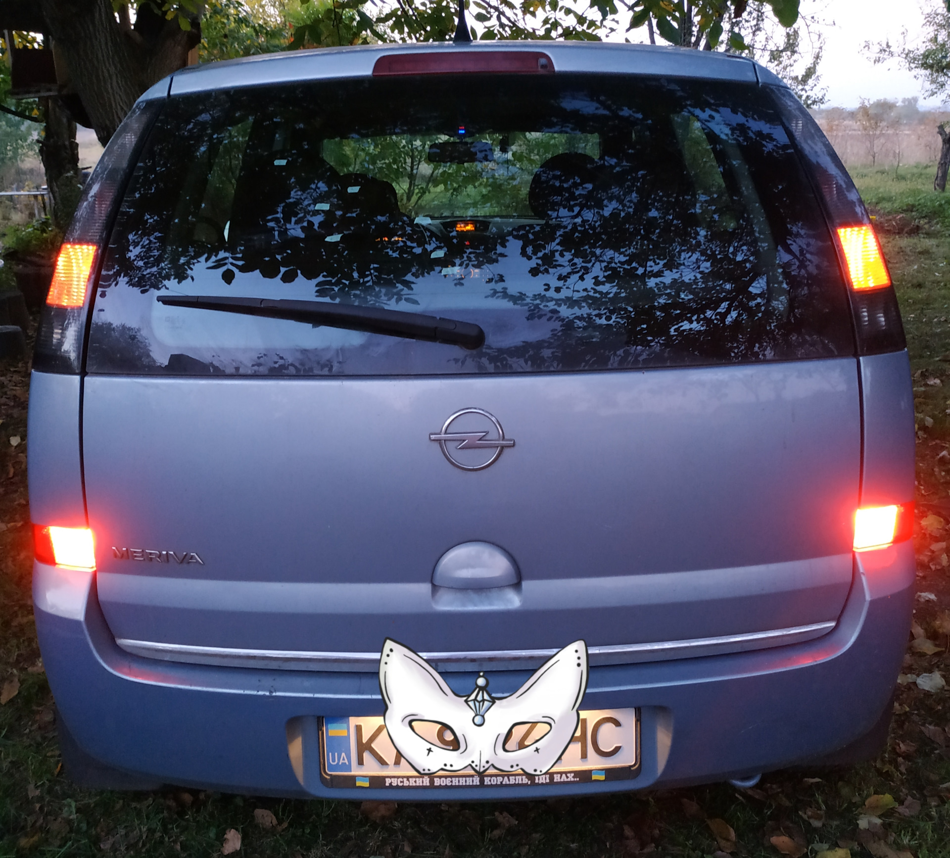 Двойные задние противотуманные фонари — Opel Meriva (A), 1,4 л, 2008 ...