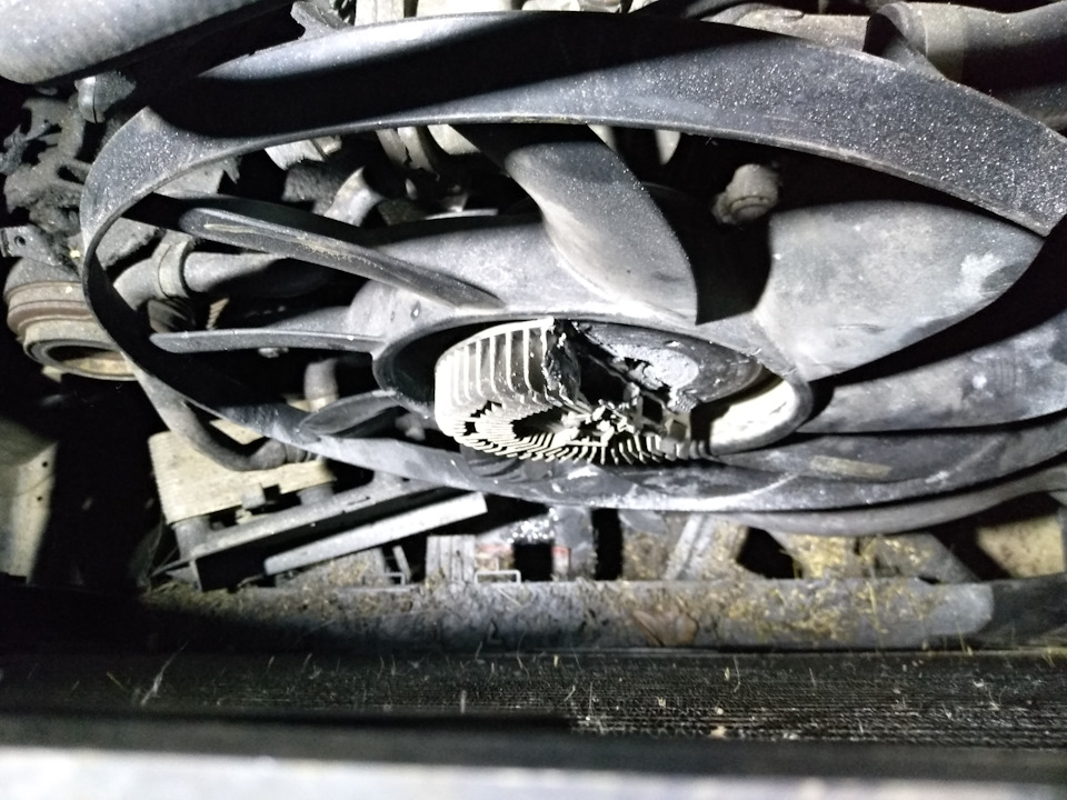 Как открутить вискомуфту? Bmw m62 Range rover vogue 2005 — DRIVE2