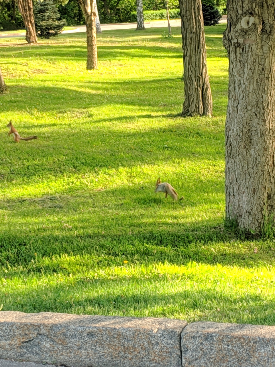 Фото в бортжурнале Nissan Qashqai (2G)