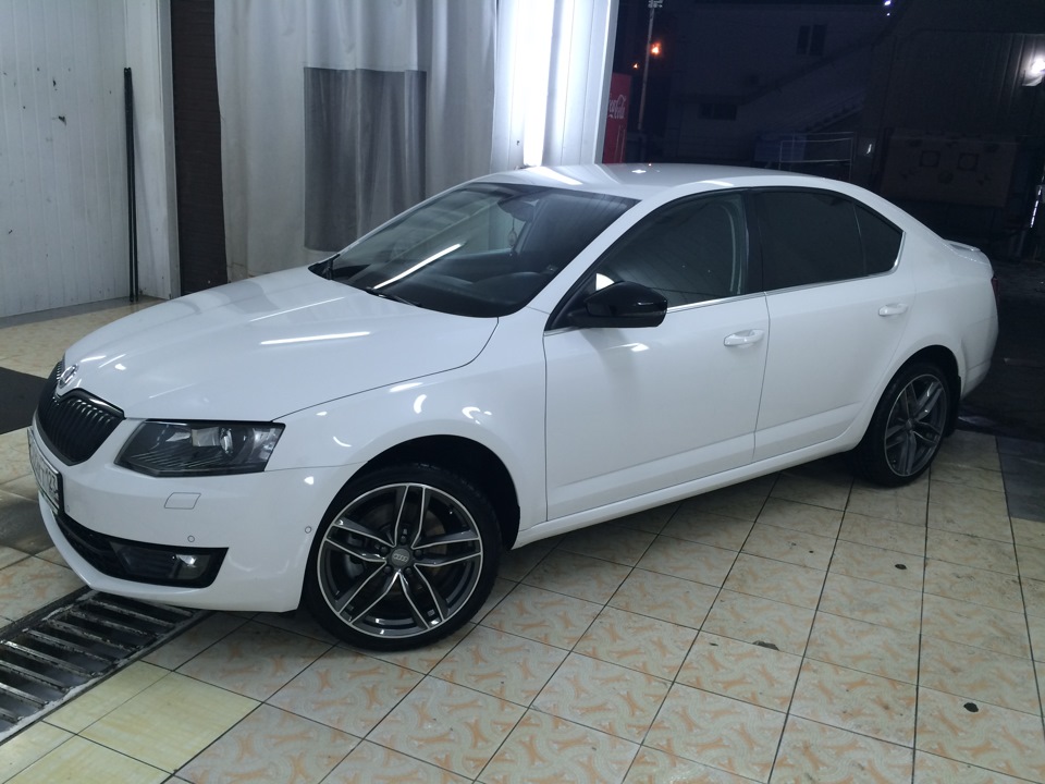 Установил Блэк пакет и защитную сетку радиатора — Skoda Octavia A7 Mk3 ...
