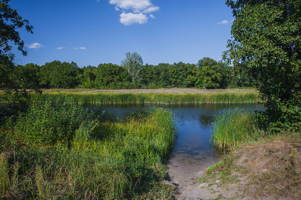 Река Битюг Фото