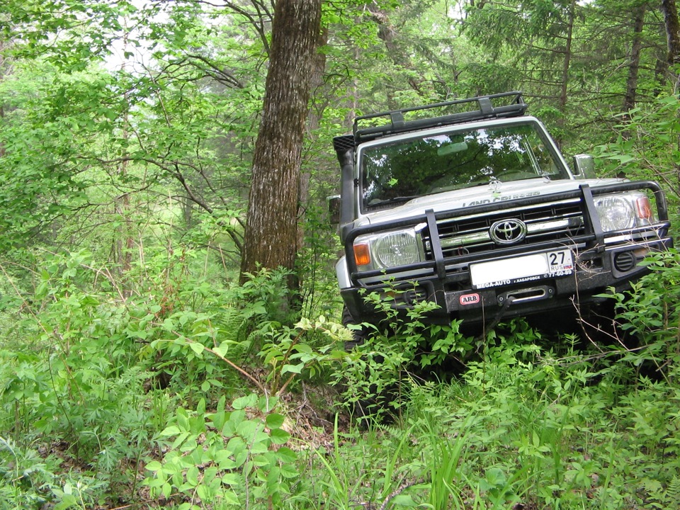Для затравочки — майский выезд в лес "по делам" — Toyota Land Cruiser ...
