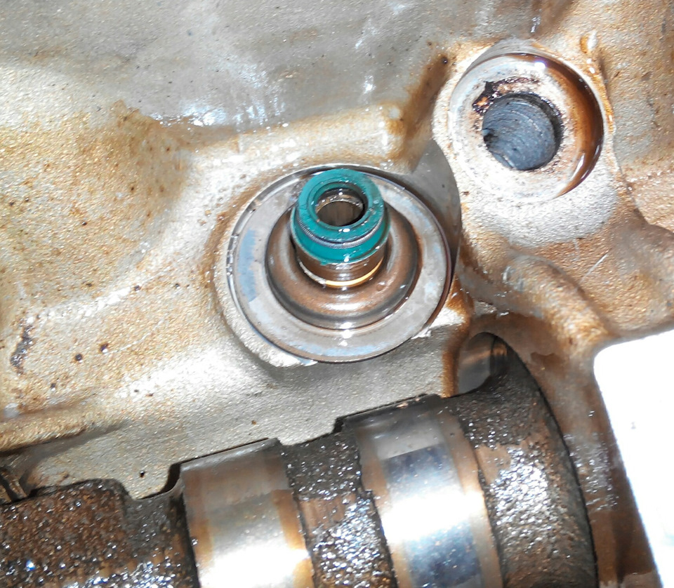 Маслосьемные колпачки в норме мягенькие. — Renault Kangoo (1G)