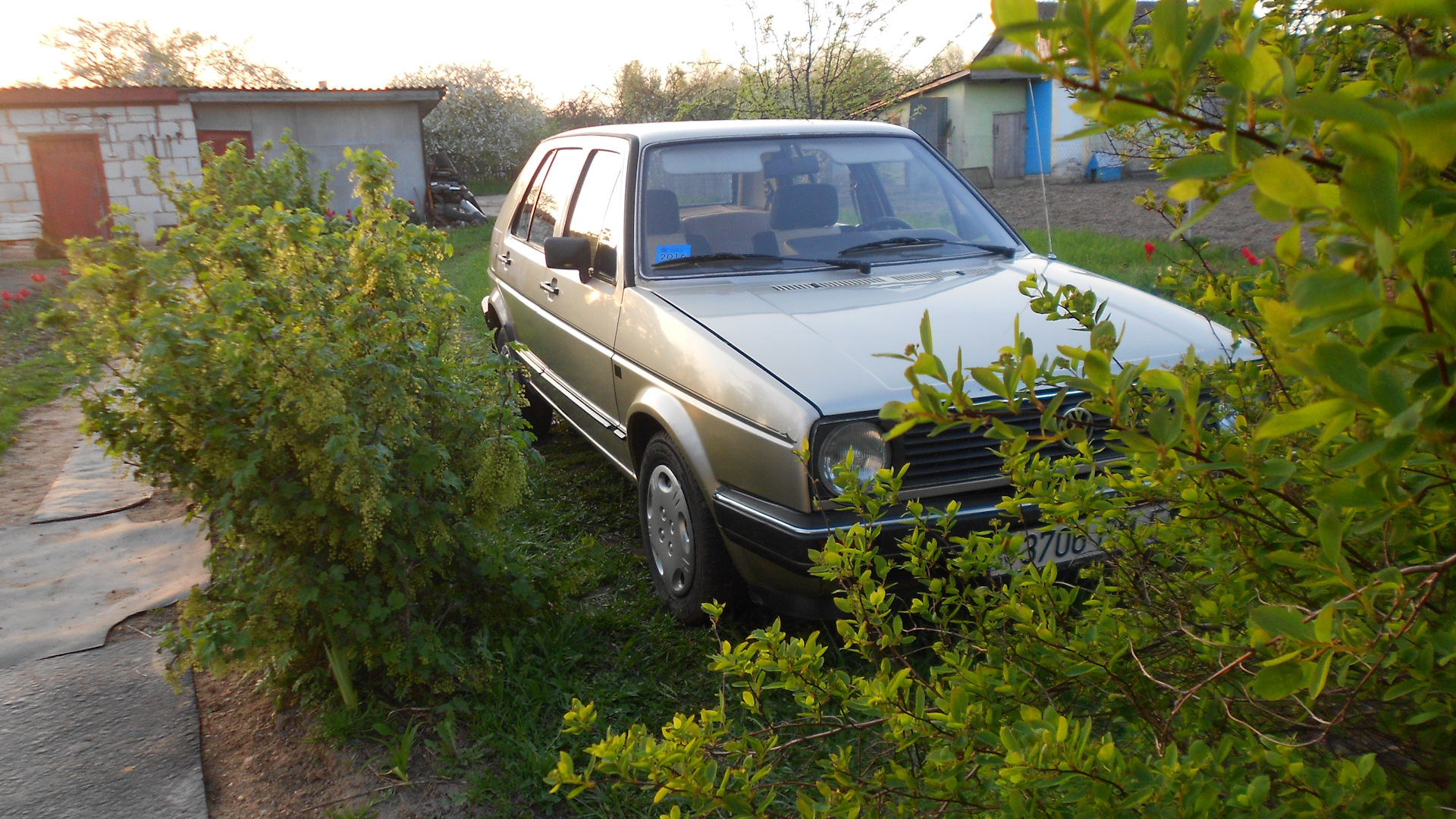 Volkswagen Golf Mk2 1.6 дизельный 1984 | 1.6 дизель на DRIVE2