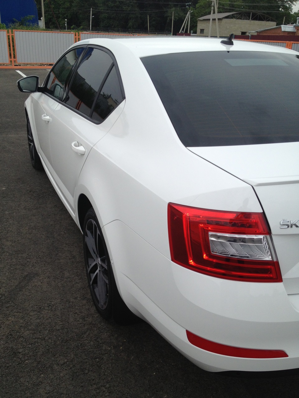 Фото в бортжурнале Skoda Octavia A7 Mk3