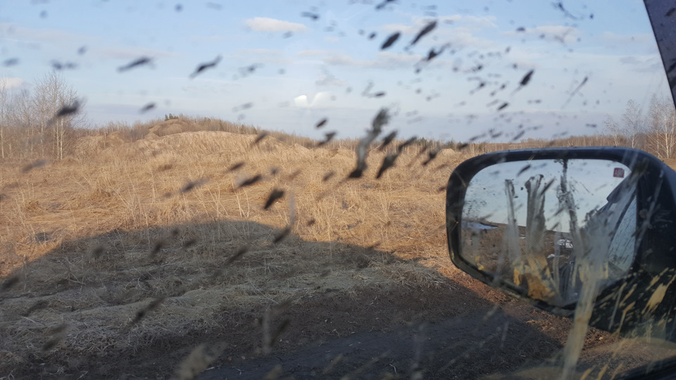 Фото в бортжурнале Mitsubishi L200 (4G)