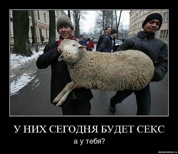 Чурки чурбаны