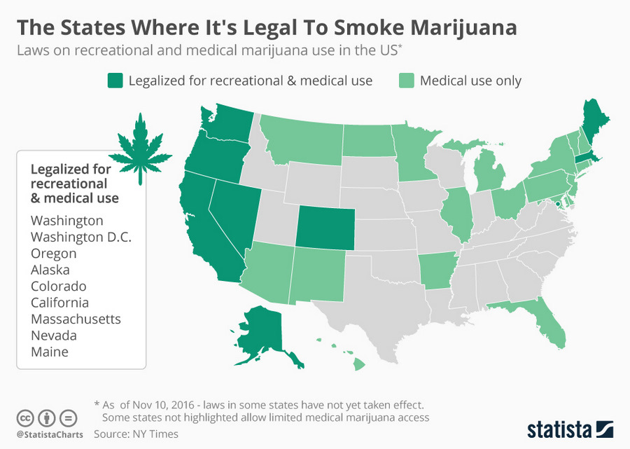Штаты которых разрешена марихуана плесень и марихуана