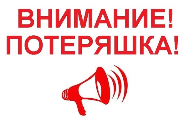 Наши потеряшки картинки для детского сада