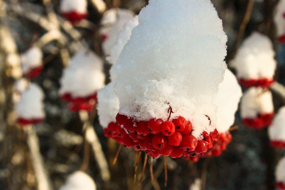 Фото в бортжурнале Suzuki Jimny (1G)