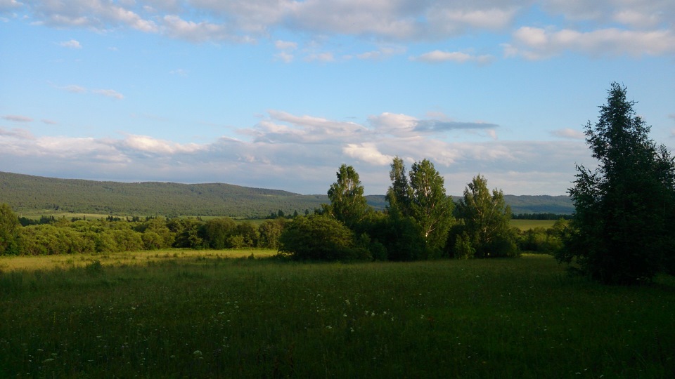 В лес, по грибы да по ягоды) — Skoda Octavia A5 Mk2, 1,6 л, 2013 года ...