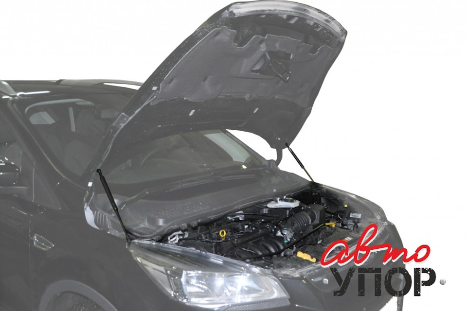 Фото в бортжурнале Ford Kuga (2G)