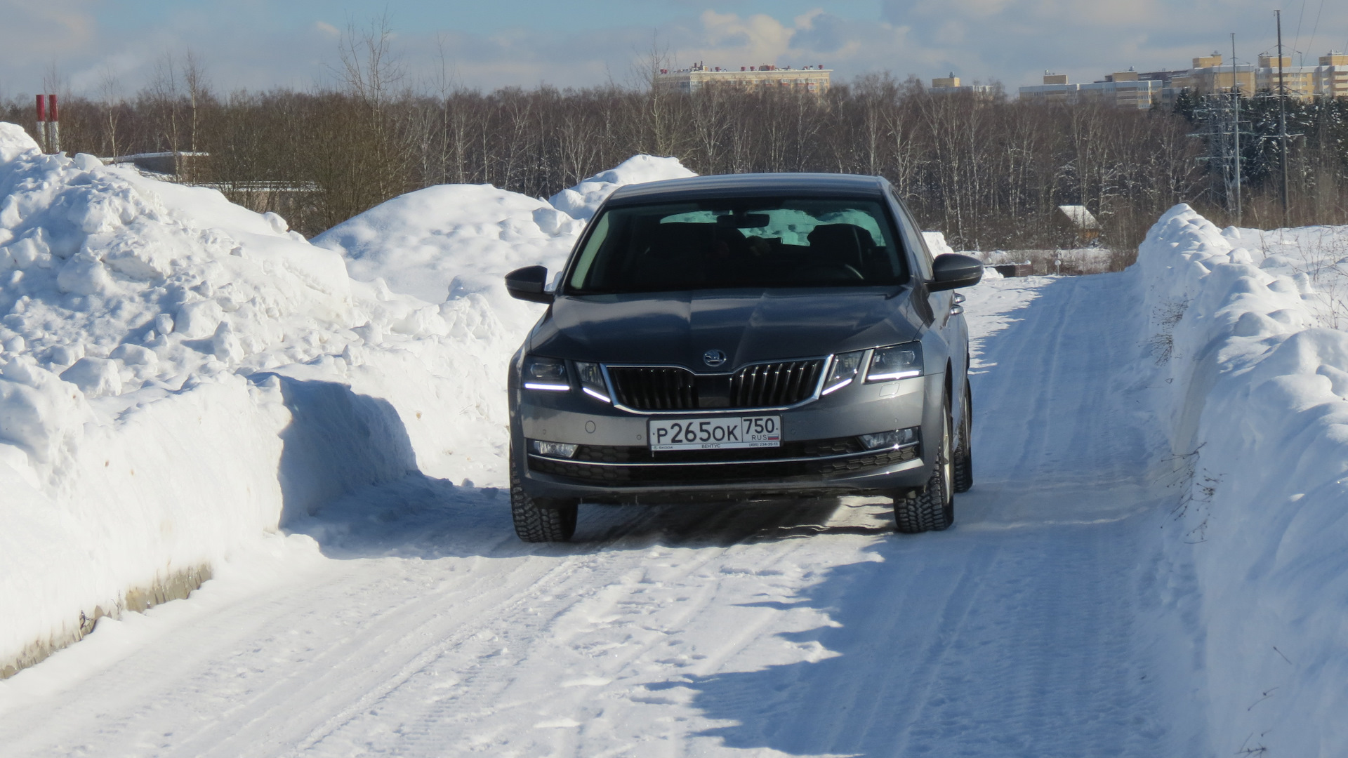 Skoda Octavia a7 зима