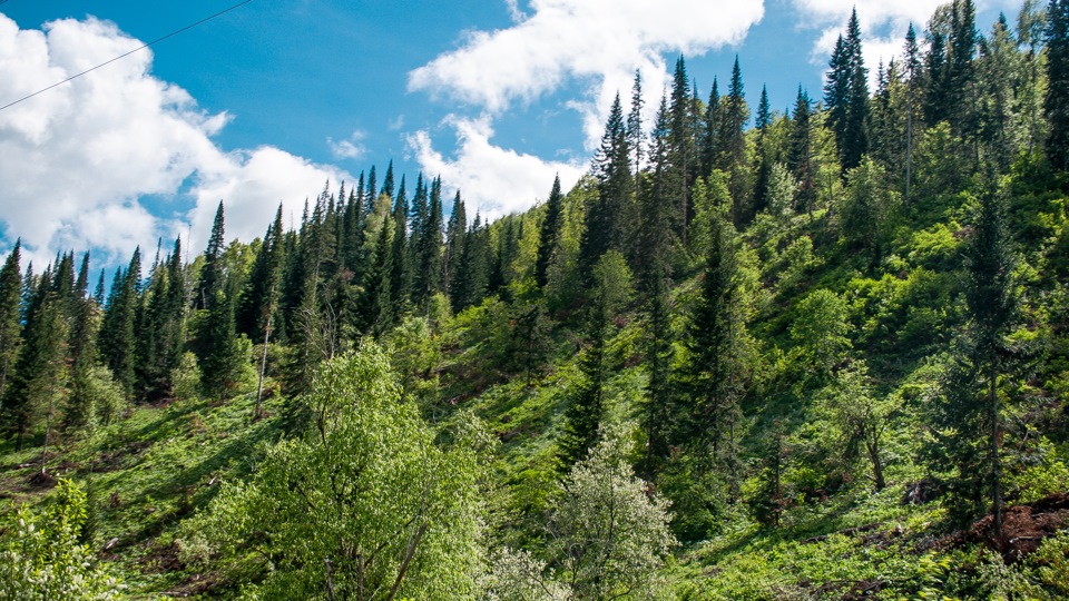 Old Route in the summer 