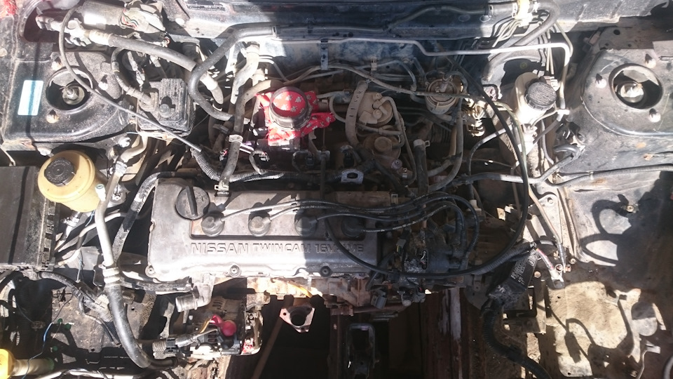 Новости — Nissan Primera (P11), 1,6 л, 1998 года | наблюдение | DRIVE2