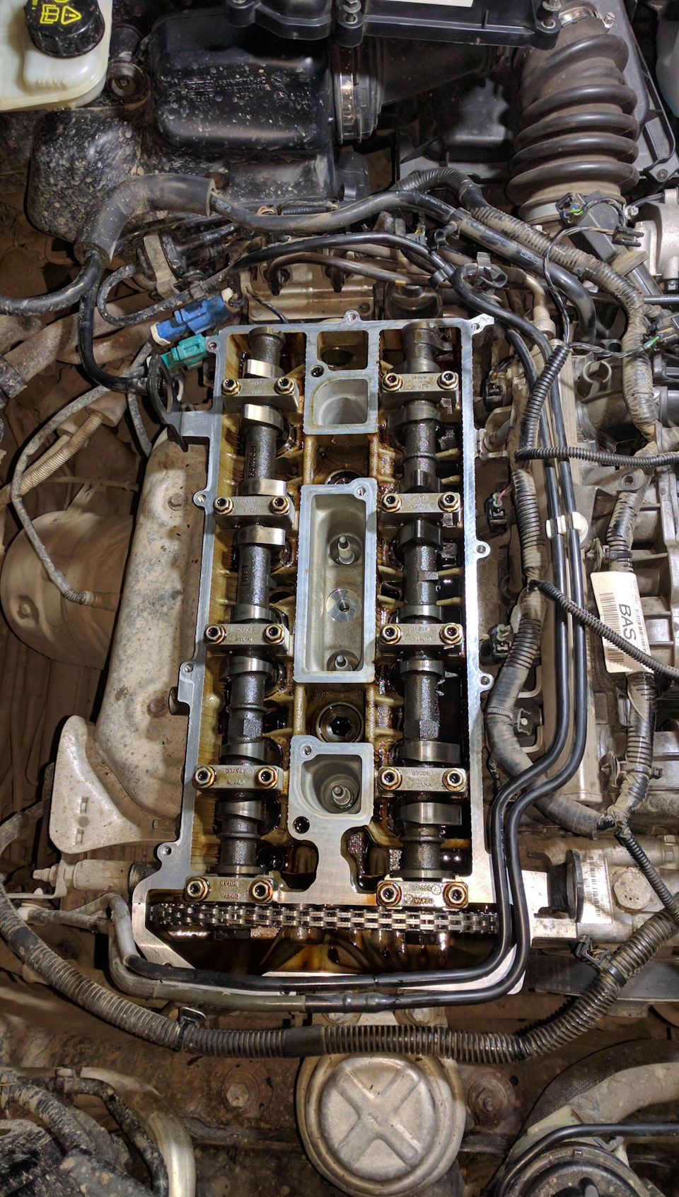 К замене масла, меняем прокладку клапанной крышки — Ford Mondeo IV, 2 л ...