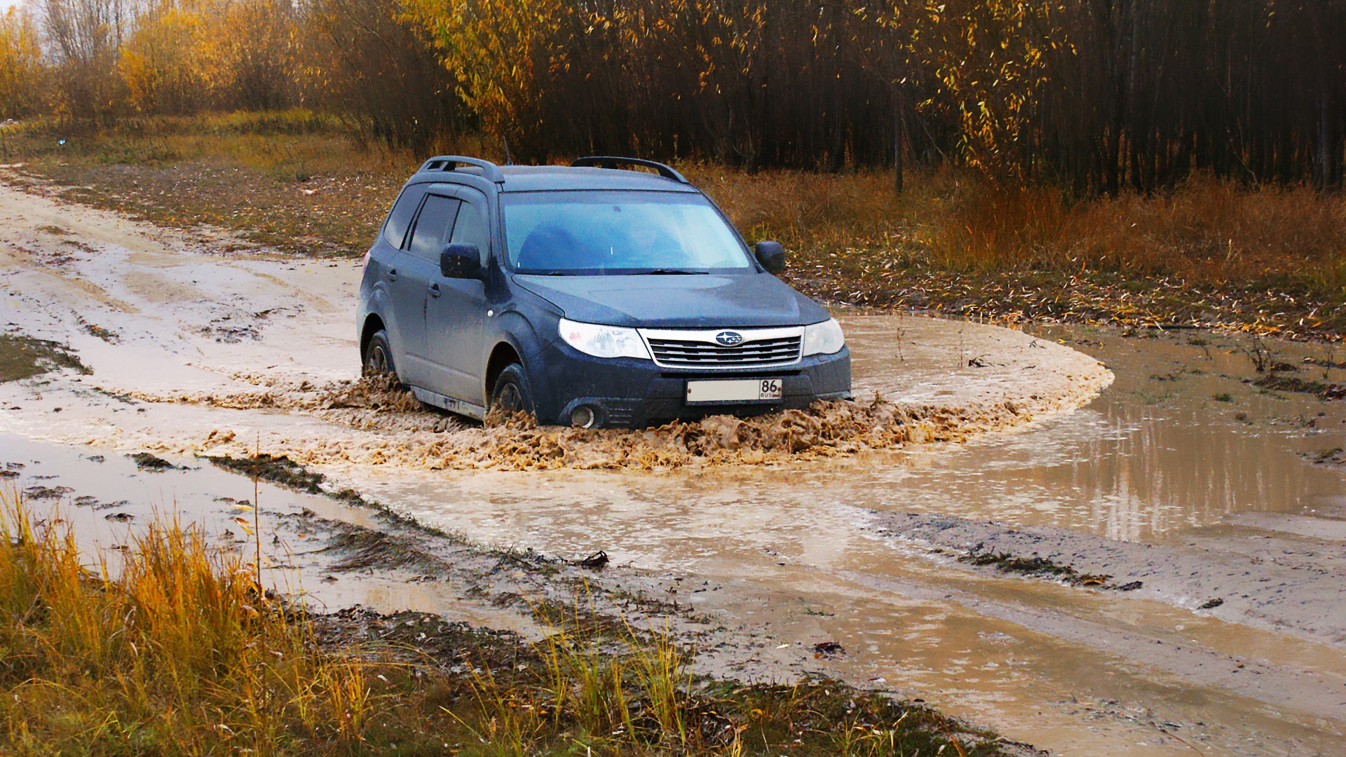 Subaru Forester (SH) 2.0 бензиновый 2008 | Черный Викинг на DRIVE2