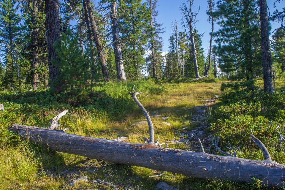 Тальяны усольский район фото