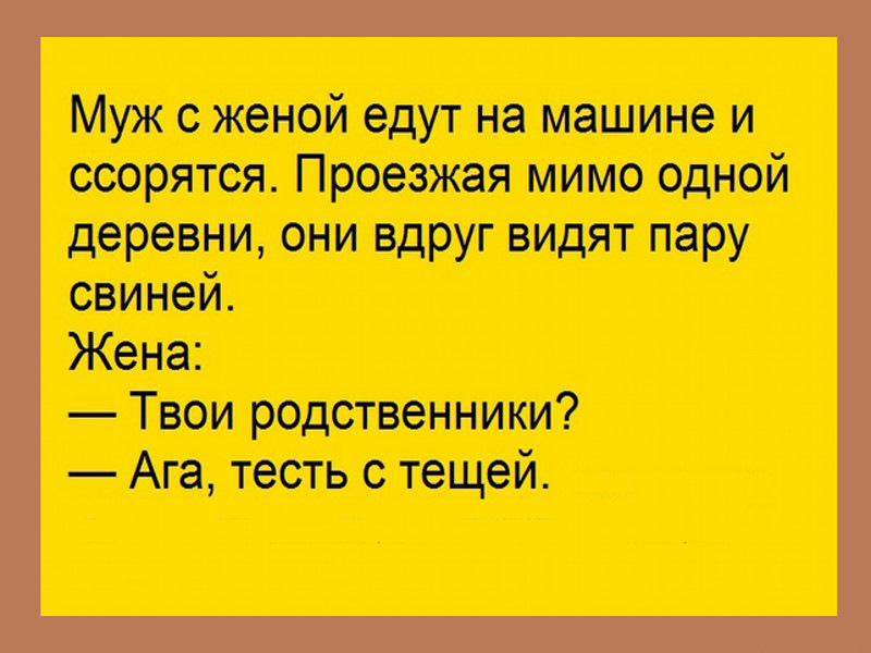 Езжай мимо. Анекдот едут жена и муж. Анекдот про родственников мужа и жены. Муж с женой проезжая мимо одной деревни. Едут муж с женой на машине анекдот.