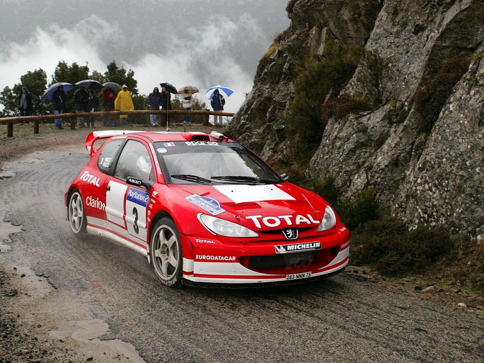 Peugeot 207 Rally