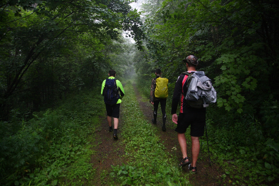 Фото в бортжурнале Toyota HiAce (H100)