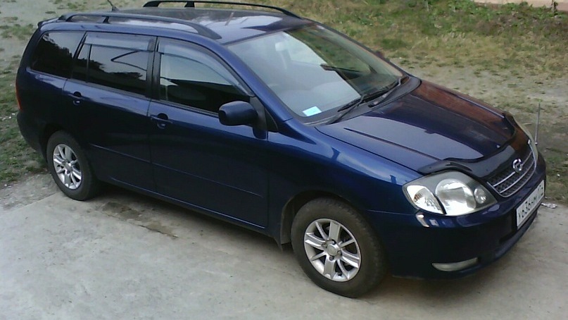 Toyota Corolla Fielder 2010 синий