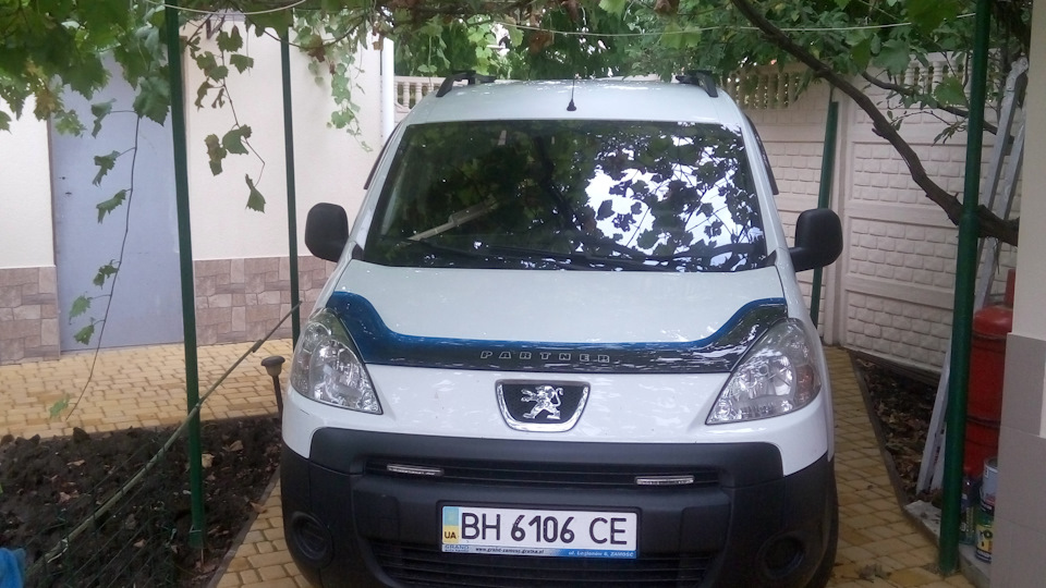 Замена амортизаторов задних — Peugeot Partner Tepee, 1,6 л, 2010 года ...
