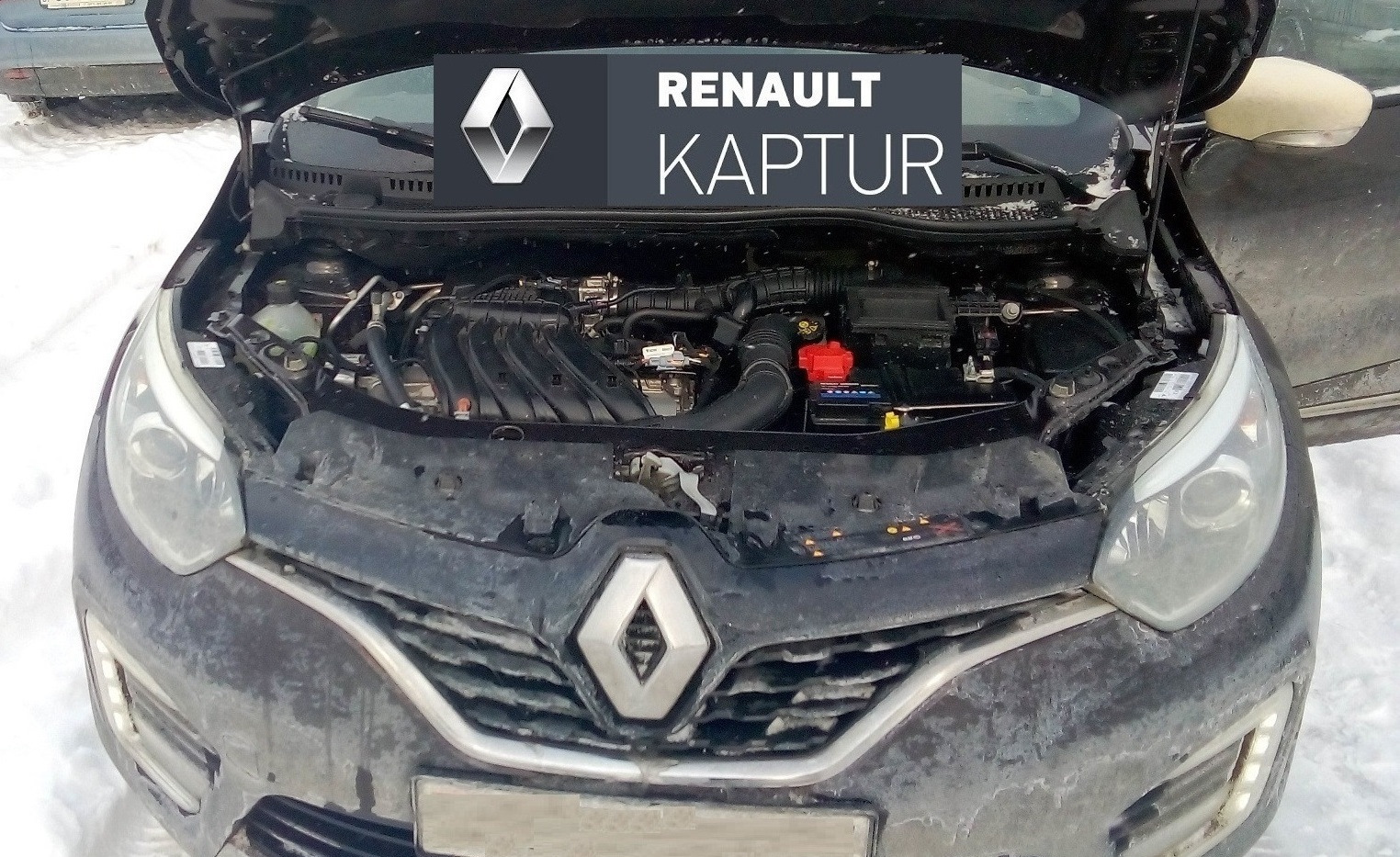 Renault Kaptur: какие технические жидкости заливать (доливать) в автомобиль  — Renault Kaptur (2016), 1,6 л, 2017 года | расходники | DRIVE2