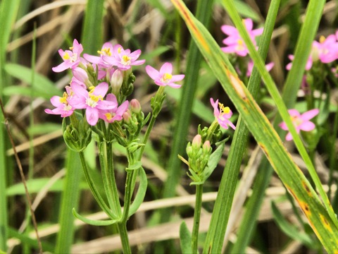 Фото в бортжурнале Mitsubishi L200 (4G)