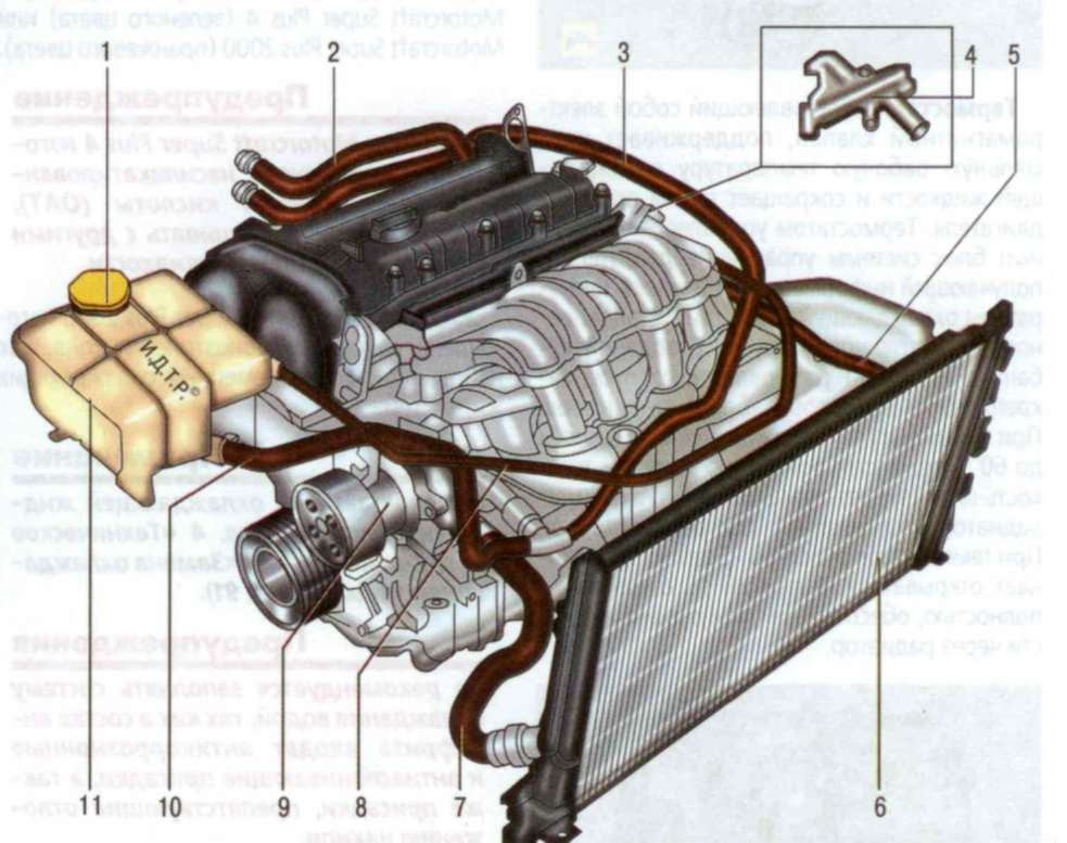 Система охлаждения Ford Focus / Форд Фокус 1