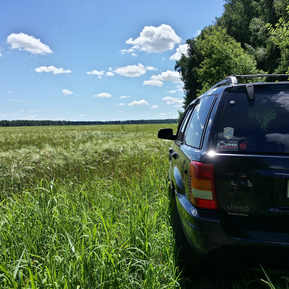 Москва — Ильич 2016 (часть 1). Серафимович, Волгоград, Ростов на Дону —  Jeep Grand Cherokee (WJ), 4,7 л, 2000 года | путешествие | DRIVE2