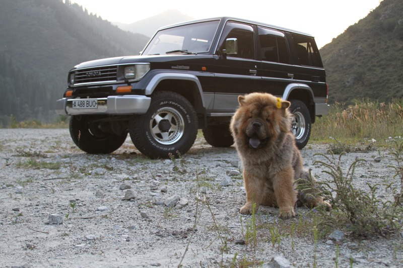       Toyota Land Cruiser Prado 30 1993 