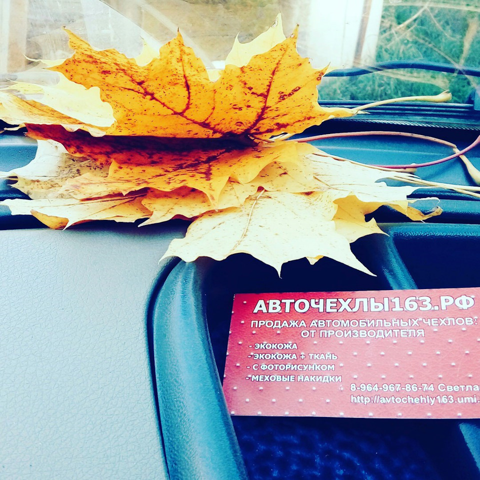 Авточехлы163.рф и осень — Твои-авточехлы.рф на DRIVE2