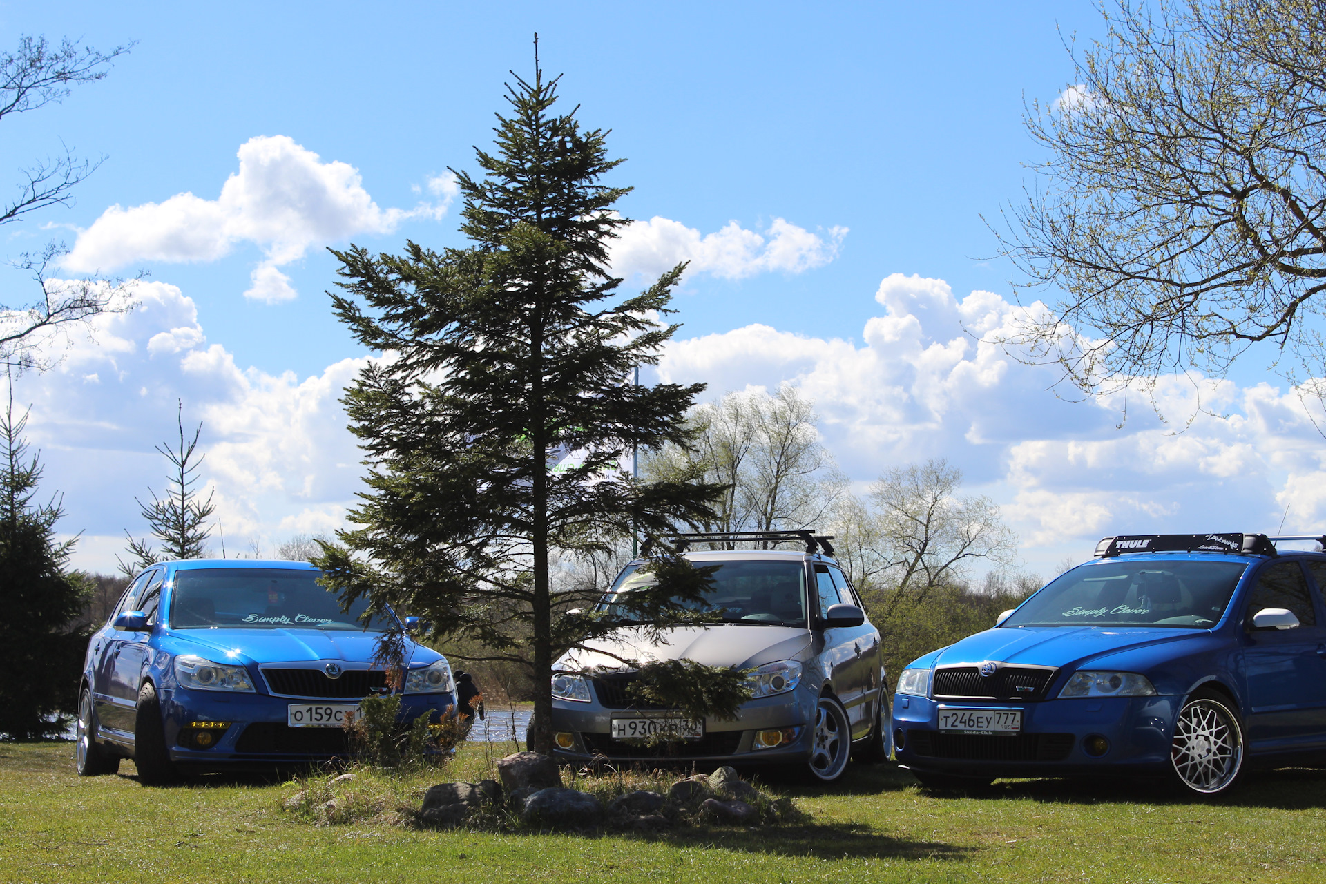 Октавия клуб магнитогорск, членом между больших сисек