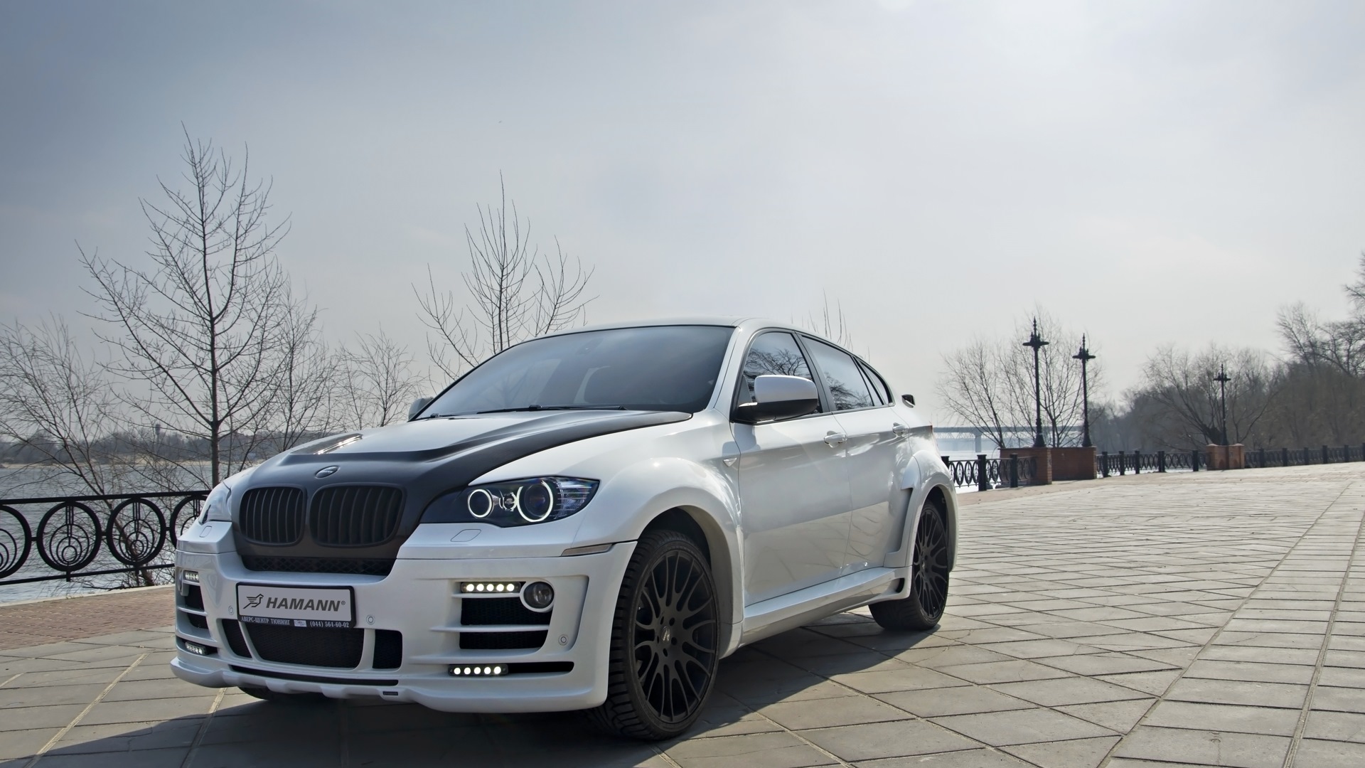 BMW X6 (E71/E72) дизельный 2012 | Hamann Tycoon на DRIVE2