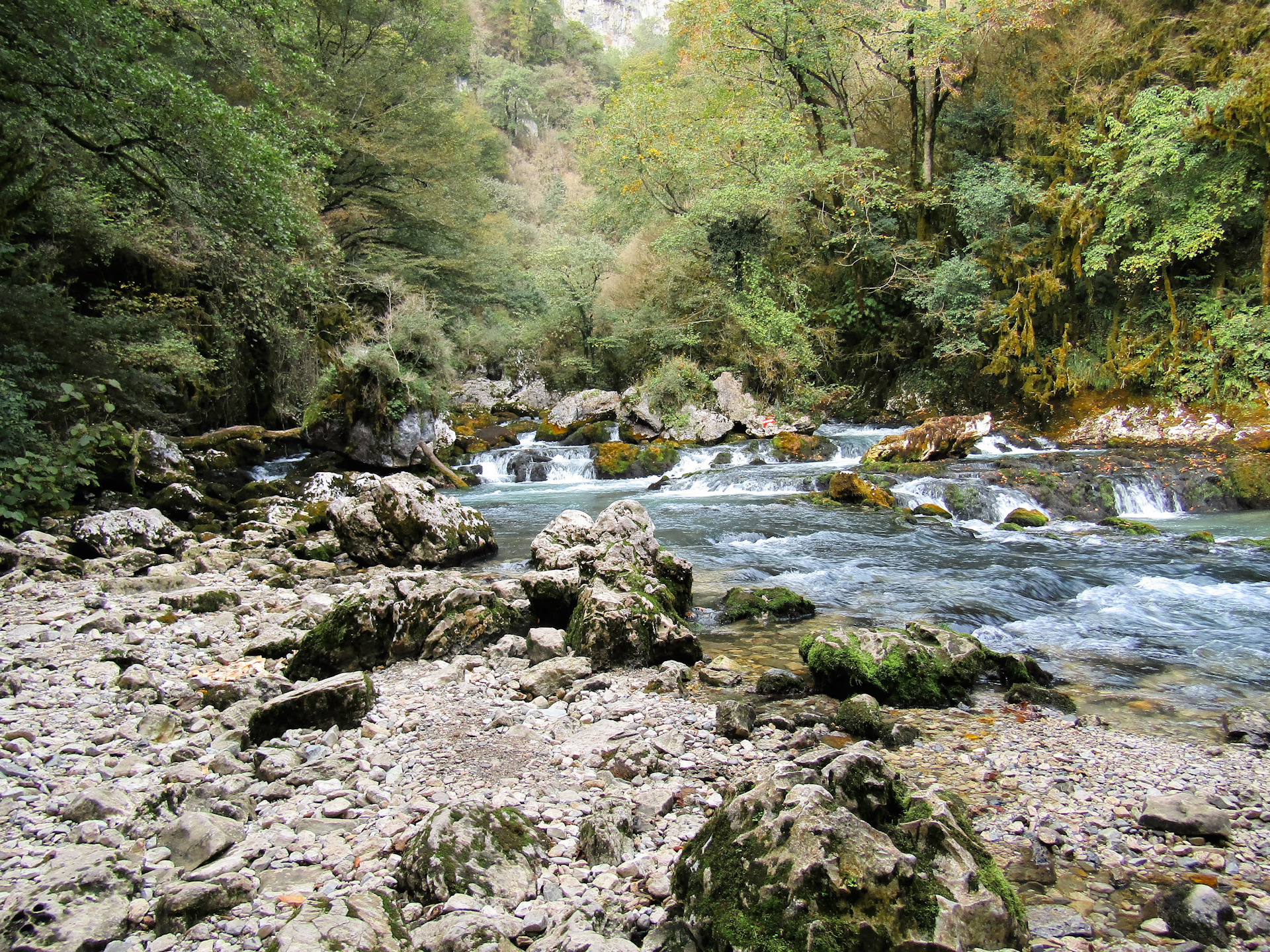 Река Мчишта Абхазия
