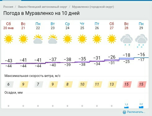 Погода в муравленко на 3 дня