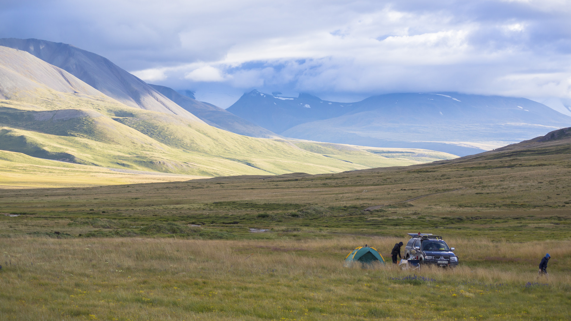 РЈРєРѕРє 2012 Denikin