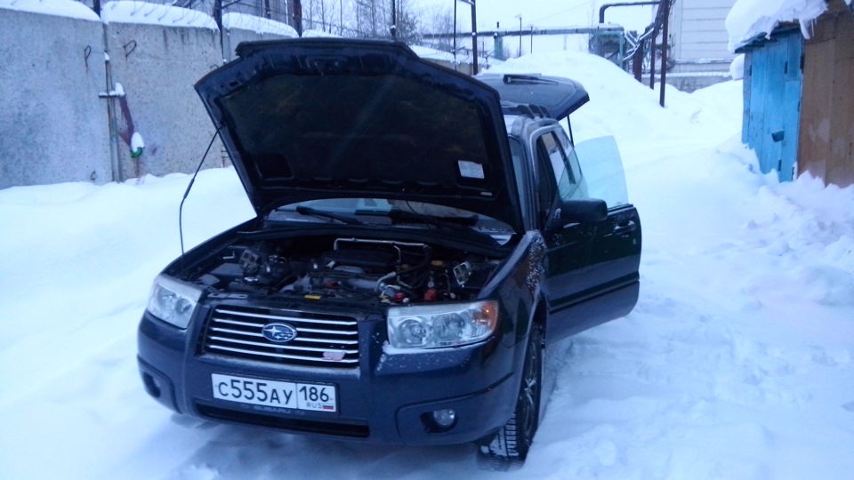 Фото в бортжурнале Subaru Forester (SG)