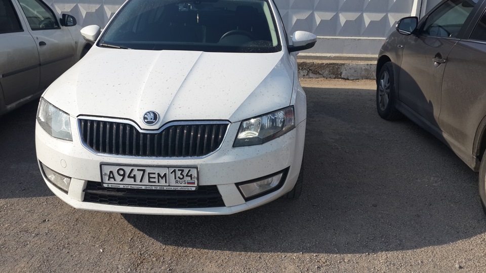 Фото в бортжурнале Skoda Octavia A7 Mk3